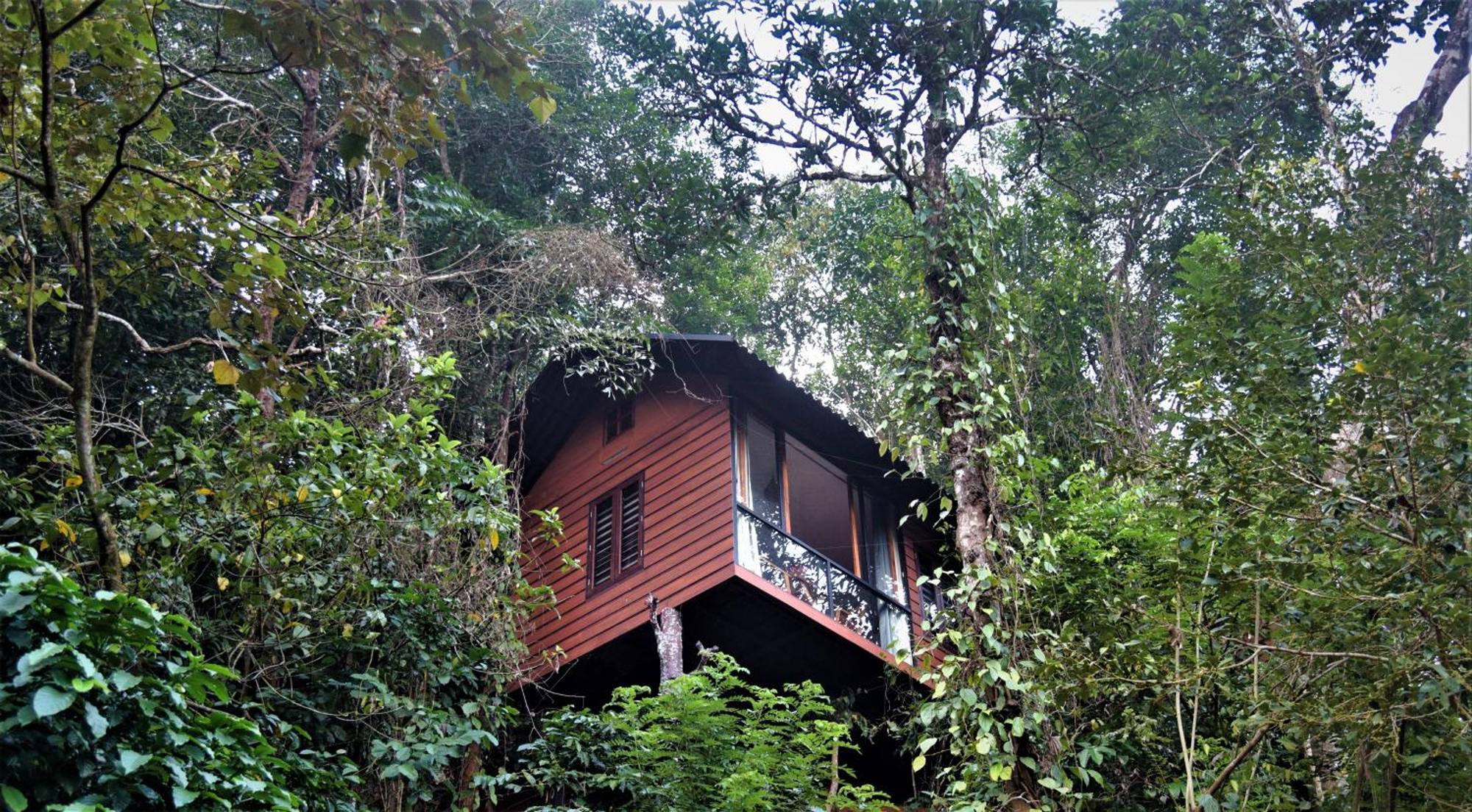 Tree6 Wayanad Villa Vythiri Exterior photo